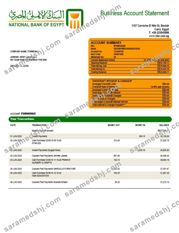 National Bank of Egypt company account statement Word and PDF template